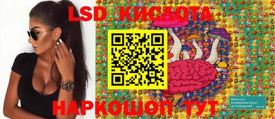 ПСИЛОЦИБИНОВЫЕ ГРИБЫ Кингисепп