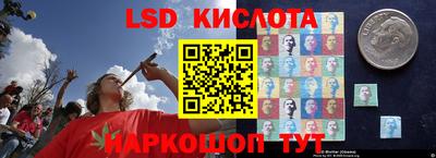СК Кимры