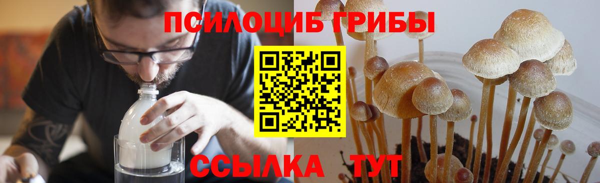 Миасс  Псилоцибиновые грибы Magic Shrooms  Псилоцибиновые грибы мухоморы  Вход с VPN 